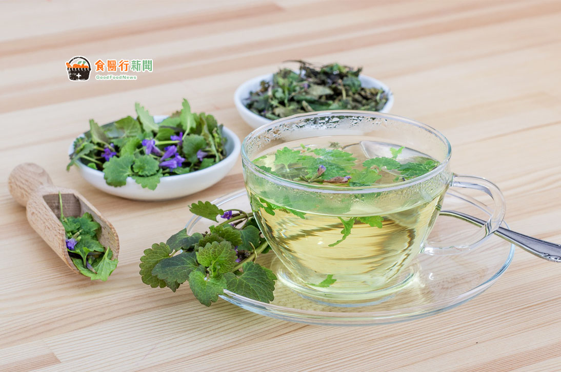 青草茶：夏季消暑解渴聖品！不同青草竟有這功效？