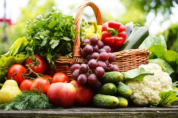 芽菜──給身體最優質且豐沛「植化素」的攝取來源