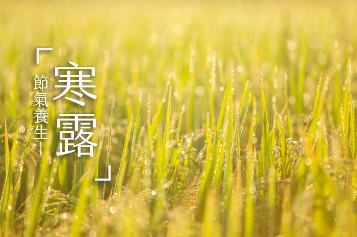 【寒露養生】氣溫下降速度快！吳明珠中醫師：首重養陰防燥、潤肺益胃