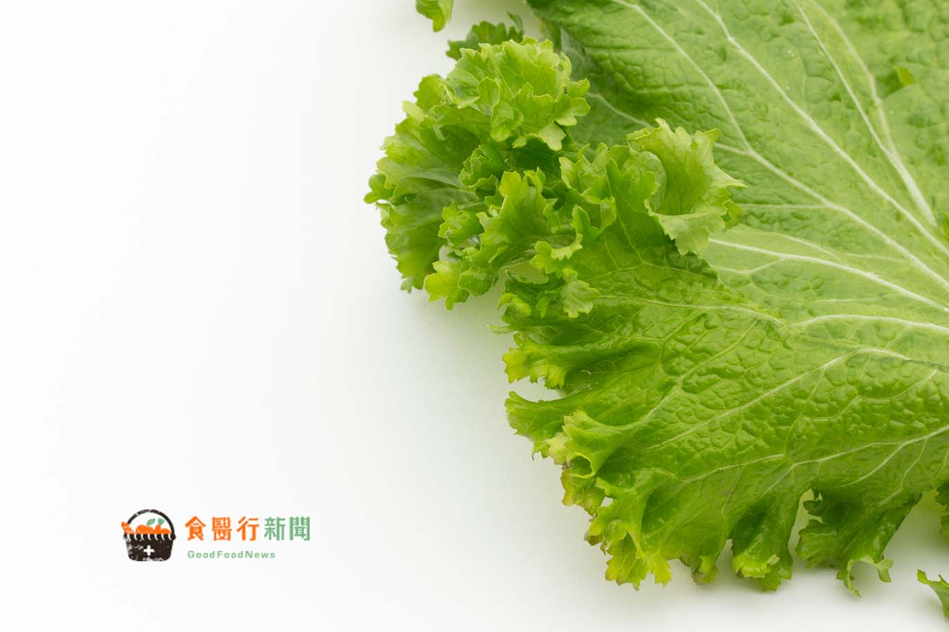 預防骨質疏鬆第1名蔬菜是它！高鈣、排毒還能抗氧化