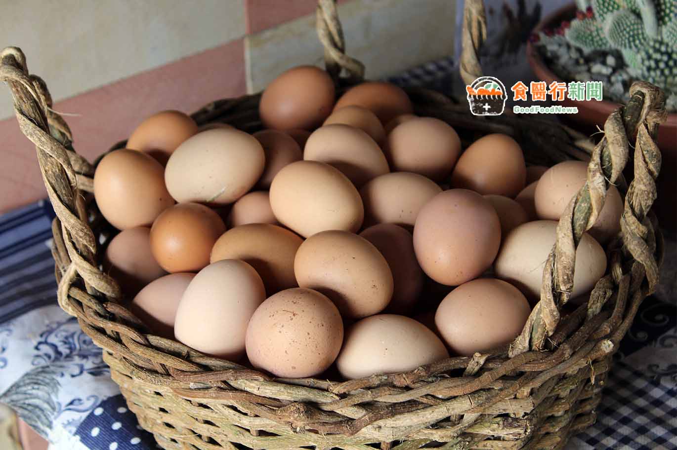 吃蛋會膽固醇過高嗎？一天能吃幾顆蛋？醫生來解答